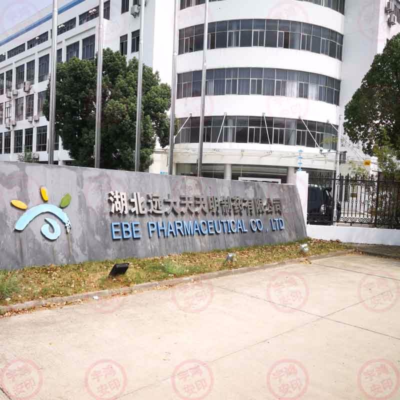 湖北远大天天明制药有限公司